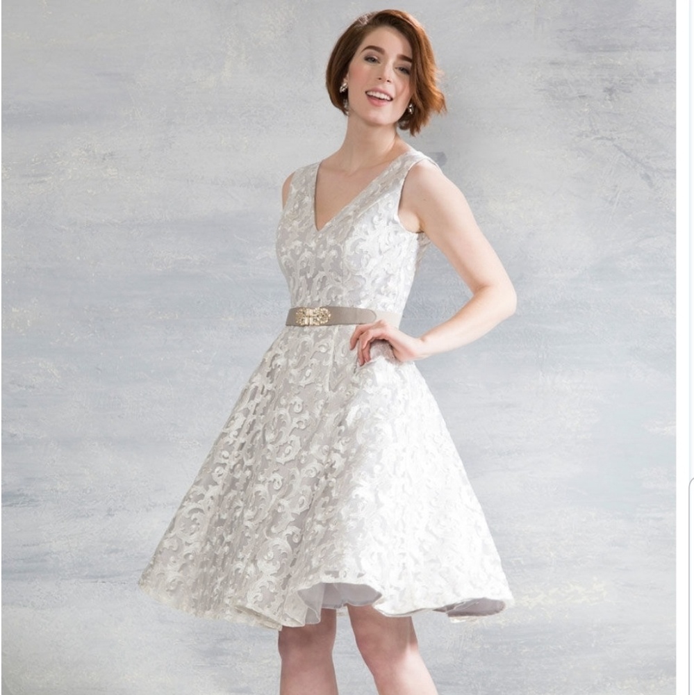 Gorgeous NWT silver lace overlay dress